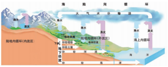 地理知识点-水循环的过程及类型
